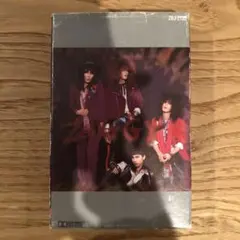 ジョニー様 リクエスト 2点 まとめ商品