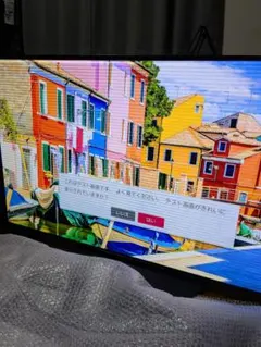 LG OLED55A2PJA 55インチ oledジャンク画面破損 2023年製 LG OLED55A2PJA 55インチ oledジャンク画面破損 2023年製 - メルカリ