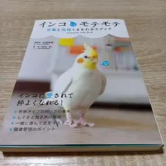 本。インコにモテモテ