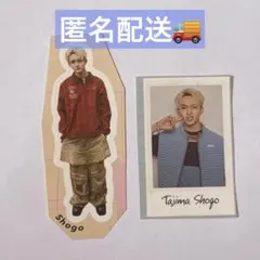 INI 写真集 タワレコ　紀伊國屋　特典　ステッカー　田島将吾　セット