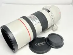 キヤノン EF 300mm F4 L USMのサムネイル