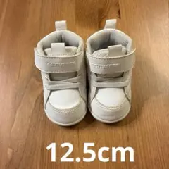 コンバース　12.5