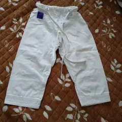 Item thumbnail for item 96fadd13-07d2-460e-9985-161d1644aa65