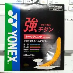 ガット バドミントン