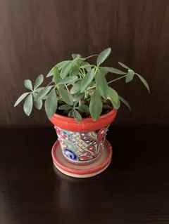 プロフ必読！nekoLC600h様 リクエスト 2点 まとめ商品