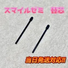 スマイルゼミ 替え芯 2本セット ブラック