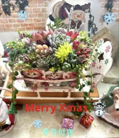 ❤️ クミりん様お取り置き品❤️多肉植物そのまま飾れる❤️Xmas子猫リメイク缶❤️