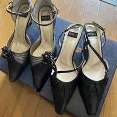 卑弥呼　24.5センチのサムネイル