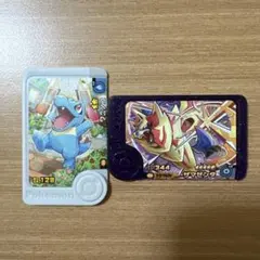 ポケモンフレンダ　アートピック　ワニノコ　ザマゼンタ