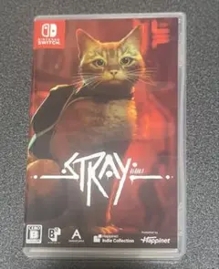 stray switch