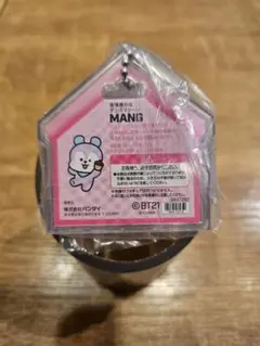 BT21 MANG パッケージチャーム