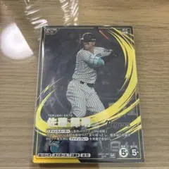 Item thumbnail for item 87358a58-d9ea-4579-8d90-40149b1e47fc