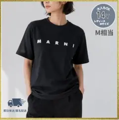 2026年最新】マルニ tシャツの人気アイテム - メルカリ