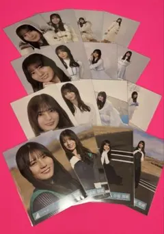 稲熊ひな 櫻坂46 生写真 摩擦係数 新参者 ギンガムチェック 20種コンプ