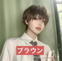 【新品！未使用！】ウイッグ　メンズ　ブラウン　ショート　かつら　フリー　男女
