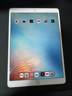 Apple iPad Pro (10.5-inch) 256GB シルバー Amazon.com : Apple iPad Pro 10.5in - 256GB Wifi - 2017 Model