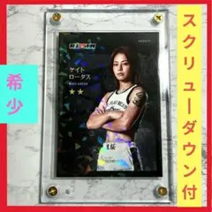 2026年最新】ケイト・ロータスの人気アイテム - メルカリ