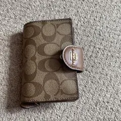 Item thumbnail for item 15feea69-a59f-4cb2-9132-006b69349cfd