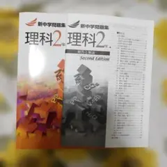 Item thumbnail for item 47d32270-e933-47b1-bd62-1fb1ee167935