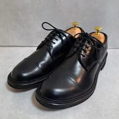 [美品] REGAL レザー ビジネスシューズ　ストレートチップ 25cm