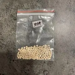 タンタン様専用 3864