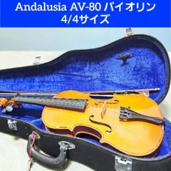 2026年最新】アンダルシア バイオリンの人気アイテム - メルカリ