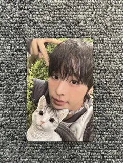 NCTWISH color リク③