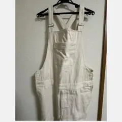 Item thumbnail for item af98665c-2421-4eac-bb97-98d20711f1a1