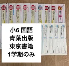 小6社会令和6年度カラーテストNぶんけい　東京書籍2024〜2025年合計17枚 小6社会令和6年度カラーテストNぶんけい 東京書籍2024〜2025年合計17枚