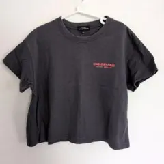 グリーンレーベルリラクシング　120 Tシャツ バックプリント