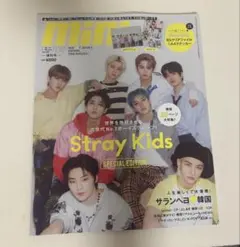Stray Kids