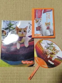 【値下げ】にゃらんの思い出アルバムセット（じゃらん）