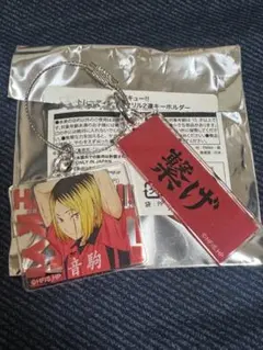 ハイキュー 全国遠征 ポップアップ キーホルダー 孤爪研磨