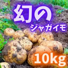 幻の じゃがいも ジャガイモ 07 - メルカリ