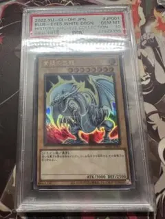 遊戯王　青眼の白龍　ヒスコレ　ウルトラ　PSA10