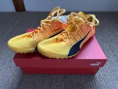 Puma エヴォスピードフューチャー6 25cm