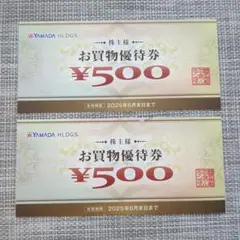 ヤマダ電機　優待券