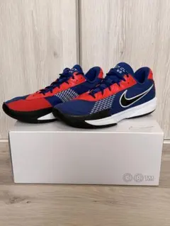 Nike PG 2バスケットボールシューズ - メルカリ