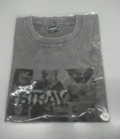 StrayKids RUN IT フォトTシャツ グレー XL スキズ