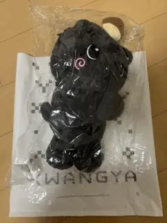 NCTWISH リク キャラクターバック　新品・未使用