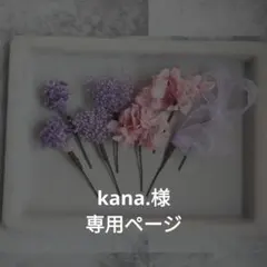 kana.様専用ページ