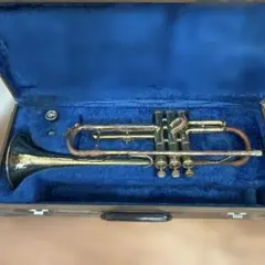 Item thumbnail for item 0482faa8-79c3-4ef7-8400-c9c4fe55d138