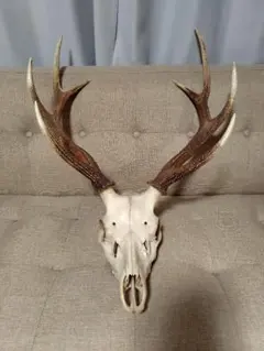 【最終値下げ】ハンティングトロフィー