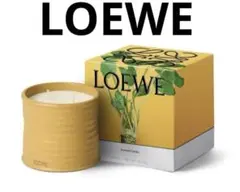 2026年最新】LOEWE アロマ・キャンドルの人気アイテム - メルカリ