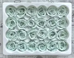 プリザーブドフラワー 花径2-2.5cm 24輪　 バラ ○パウダーグリーン