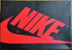 NIKE AIR JORDAN ハイカットスニーカー　女性用