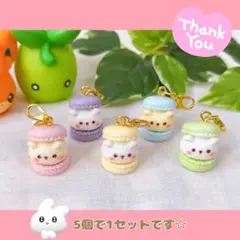 【560】くまさんマカロンチャーム　ハンドメイド　ミニチュア　フェイクスイーツ