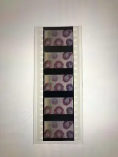 五等分の花嫁 入場者特典 生コマフィルム