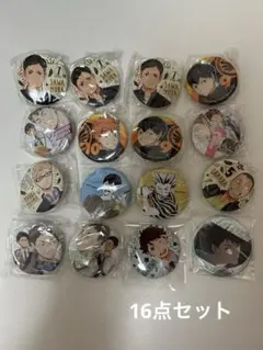 ハイキュー缶バッジ　及川徹日向翔陽影山飛雄月島蛍岩泉一赤葦京治木兎光太郎澤村大地