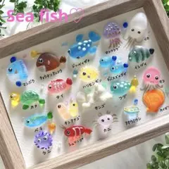 鮮やかSea fish❣️シーグラスアート　熱帯魚図鑑　お魚図鑑　ヒーリングアート
